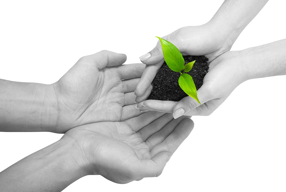 在线轰炸机网页版